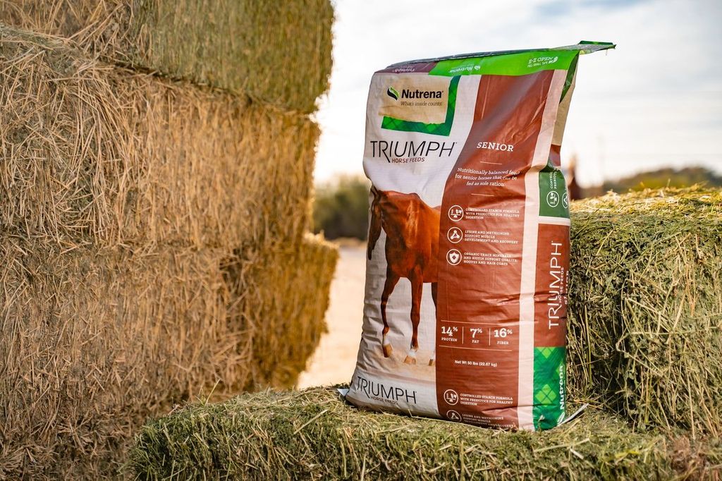 Triumph Senior 50lb Three Bars