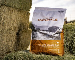 Diamond All Life Stages Chicken & Rice