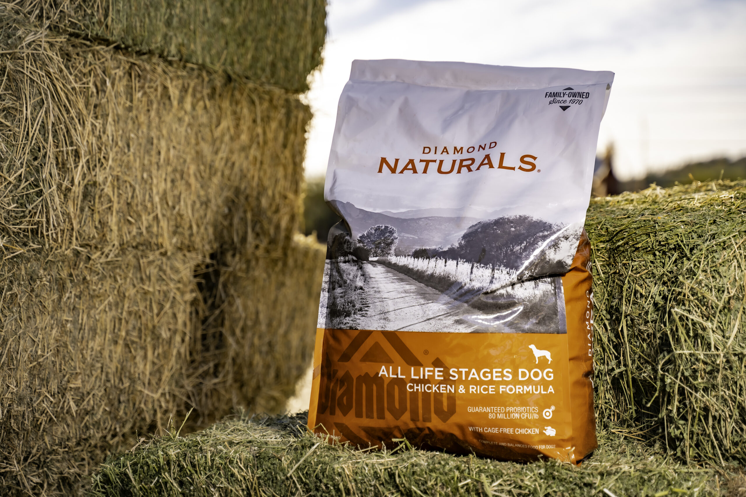 Diamond Naturals All Life Stages Chicken & Rice Dry Dog Food (40lb) main image 1