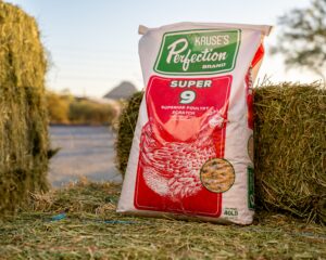 Kruse Super 9 Scratch