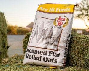 Ace Hi Steamed Flat Rolled Oats