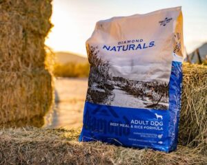 Diamond Beef Meal & Rice