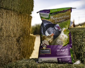 NatureWise All Flock 40lb