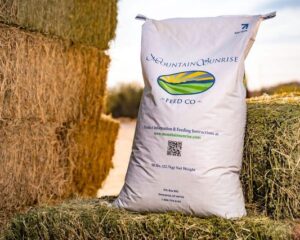 Mountain Sunrise Alfalfa / Bermuda Blend