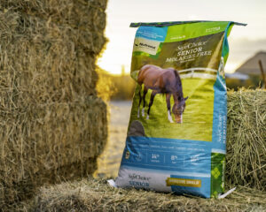 SafeChoice Senior Molasses Free Horse Feed