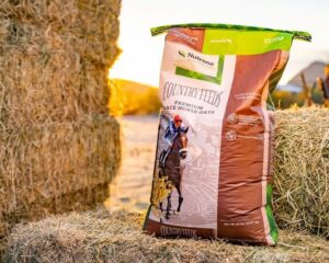 Racehorse Whole Oats