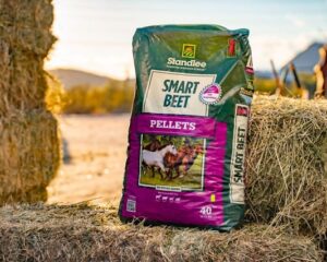 Standlee Beet Pulp Pellet 40lb