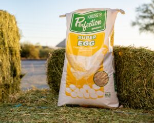 Kruse Super Egg