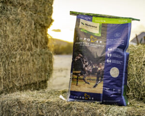 Nutrena Empower Digestive Balance