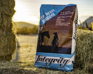 Ace Hi Integrity Rice Bran Nuggets