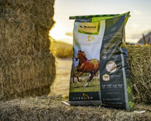 Nutrena Empower Topline Balance