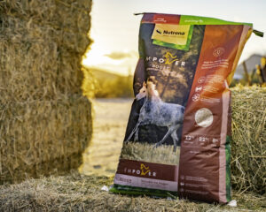 Nutrena Empower Boost