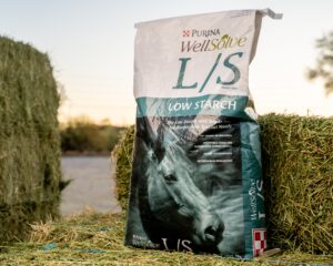 Purina WellSolve L/S Horse Feed