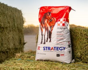 Purina Strategy Professional Formula GX Horse Feed