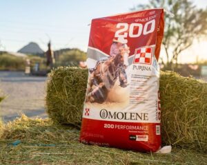 Purina Omolene 200 Performance Horse Feed