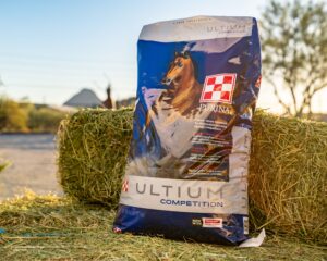 Purina Ultium Competition Horse Formula