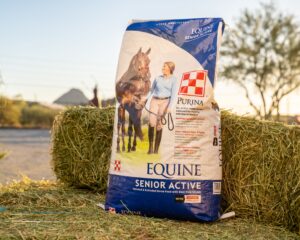 Purina Equine Senior Active Horse Feed
