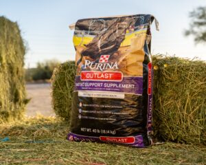 Purina Outlast Gastric Support Supplement