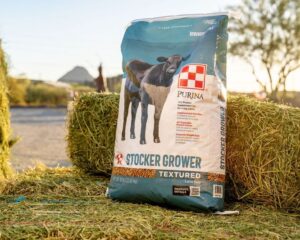 Purina Stocker Grower Textured Cattle Feed
