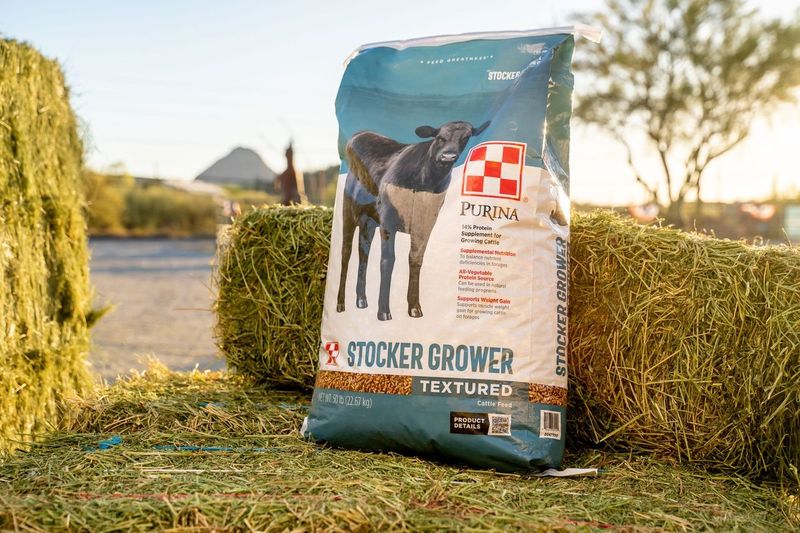 Purina Stocker Grower Textured Cattle Feed - Three Bars