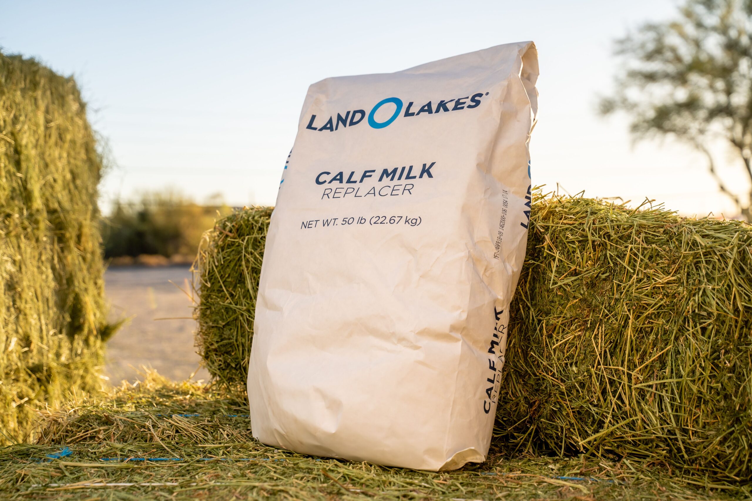 Land O Lakes Calf Milk Replacer - Three Bars
