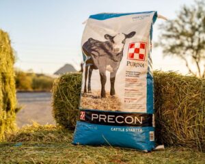 Purina Precon Cattle Starter