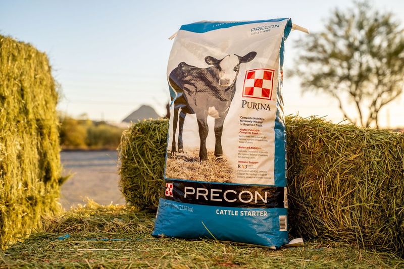 Purina Precon Cattle Starter - Three Bars