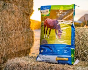 SafeChoice Senior Multi-Form Horse Feed