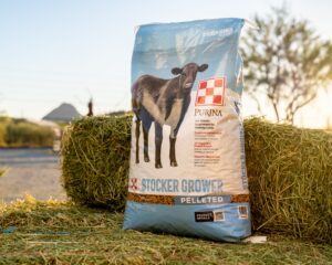 Purina Stocker Grower Pellets
