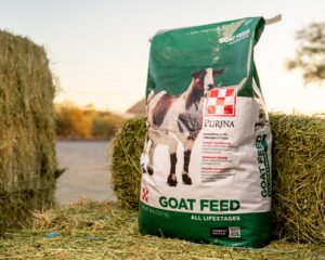 Purina Goat Chow Plus Up Goat Feed