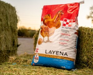 Purina Layena Pellets Chicken Feed