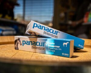 Panacur Equine Dewormer