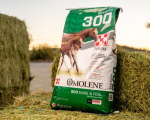 Purina Omolene 300 Growth Horse Feed