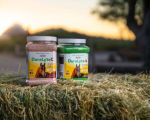 DuraLyte Equine Electrolytes Supplement