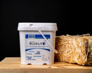 TechMix Equine BlueLite Powder