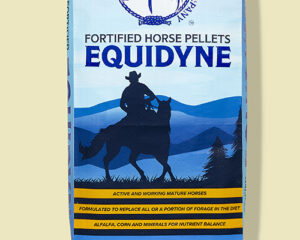 Equidyne Fortified Horse Pellets